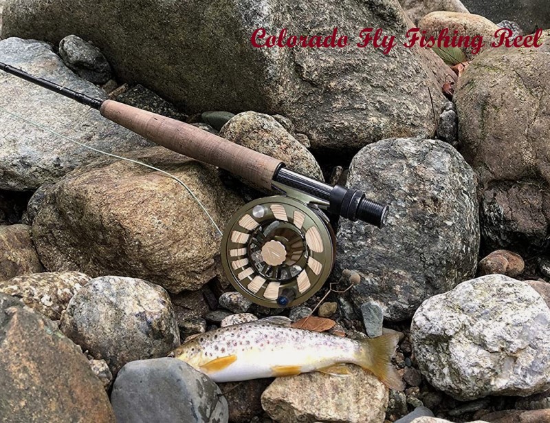 Colorado Fly Fishing Reel - Best Carp Reel Under A Budget Review