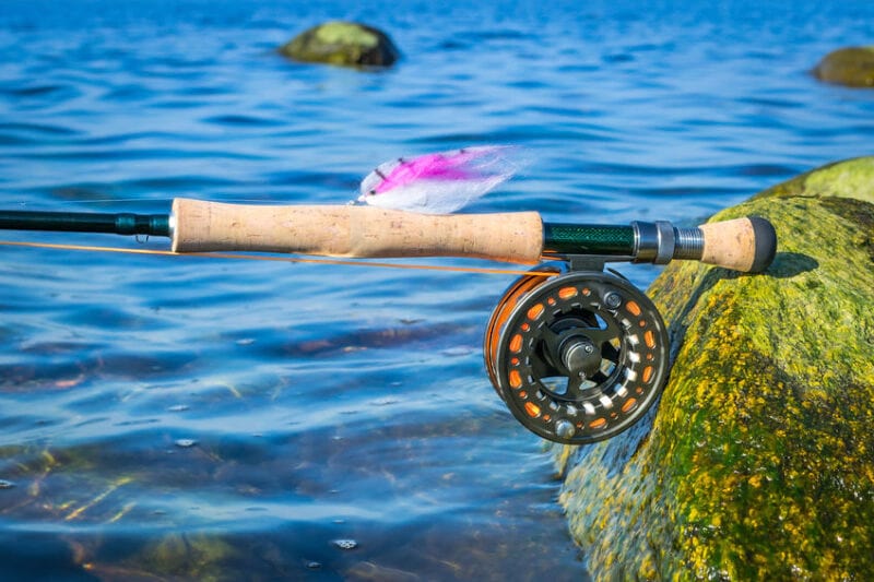 Saltwater fly reel with a fly rod