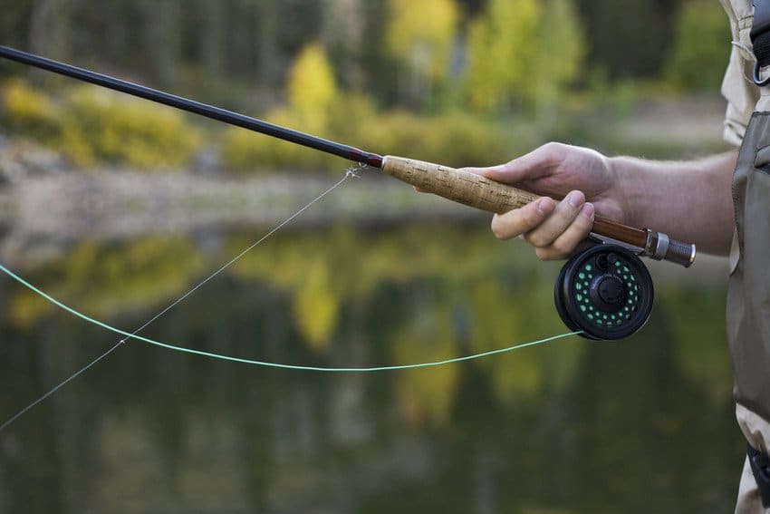 fly fishing with a  6wt fly rod and reel